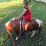 yard_grass_daylight_horse_little_boy_rope
